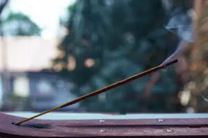 brown stick